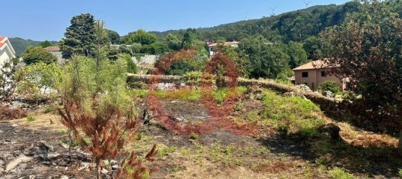 Grundstück in Viana do Castelo, Portugal 2300m², Nr. 309893 12