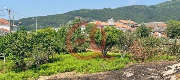 Grundstück in Viana do Castelo, Portugal 2300m², Nr. 309893 11