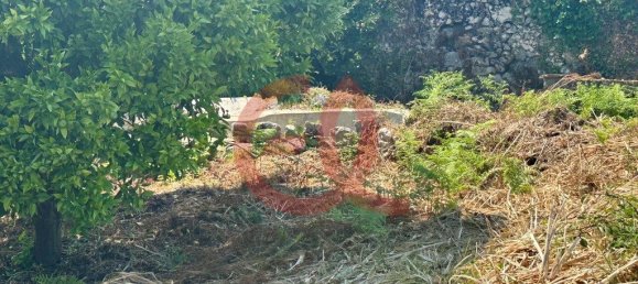 Grundstück in Viana do Castelo, Portugal 2300m², Nr. 309893 6