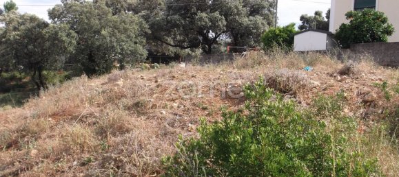 Terreno en Tomar, Portugal 516 m² No. 68834 4