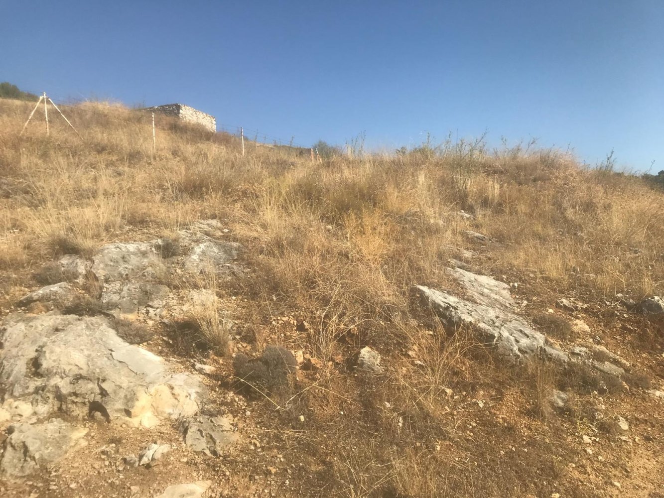 Grundstück in El Molar, Spain 11237m², Nr. 80202