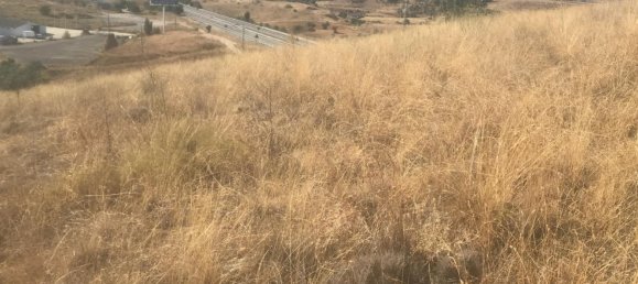 Grundstück in El Molar, Spain 11237m², Nr. 80202 6