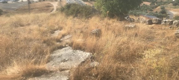 Grundstück in El Molar, Spain 11237m², Nr. 80202 9