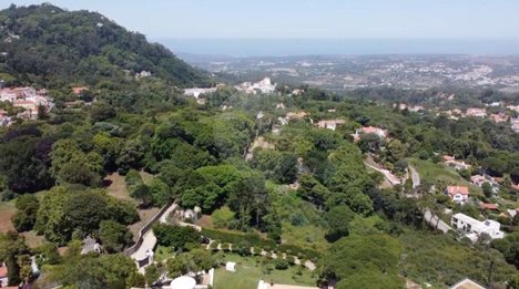 Grundstück in Sintra, Portugal, Nr. 133441