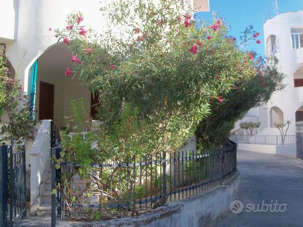 3-Zimmer Haus in Rodi Garganico, Italy, Nr. 297962