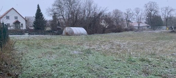  قطعة أرض في Potsdam, Germany رقم 63083 4