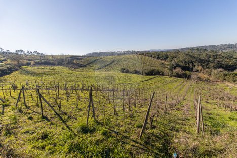 Terreno en Condeixa a Nova, Portugal No. 83378