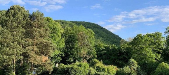 3 bedrooms Bungalow in Seebenstein, Austria No. 191168 20