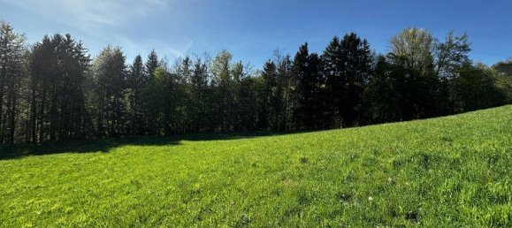 Terreno em Leutschach an der Weinstrasse, Austria N.º 164203 13