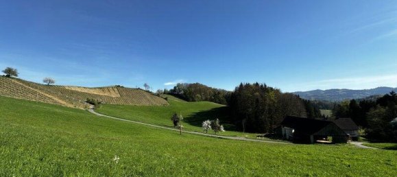 Terreno em Leutschach an der Weinstrasse, Austria N.º 164203 8