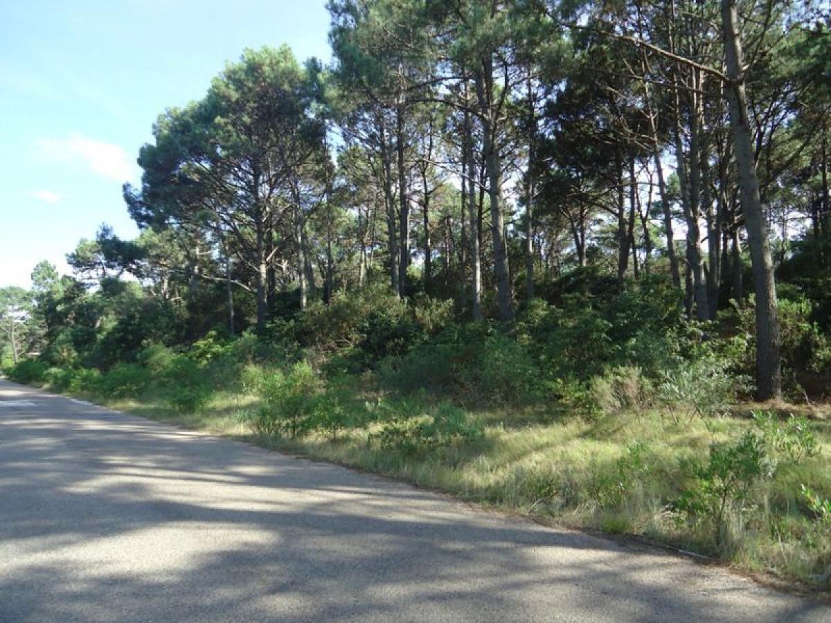  Land in Maldonado, Uruguay No. 14354