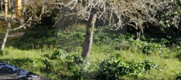 Дом с 3 спальнями в Aljubarrota, Португалия № 178652 45