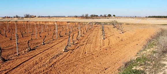 Grundstück in Ciudad Real, Spain 10481m², Nr. 166277 2