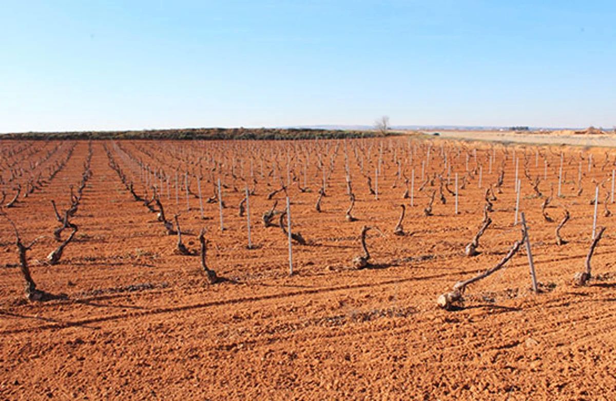 Grundstück in Ciudad Real, Spain 10481m², Nr. 166277