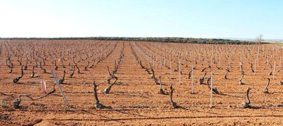 Grundstück in Ciudad Real, Spain 10481m², Nr. 166277 3