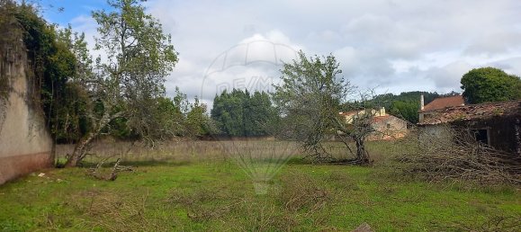 11 Schlafzimmer Haus in Alvaiazere, Portugal, Nr. 19632 21