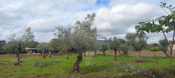 11 Schlafzimmer Haus in Alvaiazere, Portugal, Nr. 19632 10