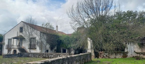 11 Schlafzimmer Haus in Alvaiazere, Portugal, Nr. 19632 30
