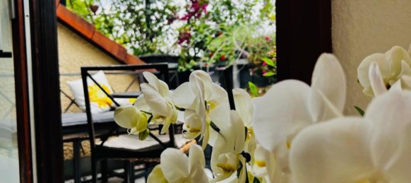 2-Zimmer Doppelhaus in Würzburg, Germany, Nr. 257997 21