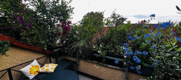 2-Zimmer Doppelhaus in Würzburg, Germany, Nr. 257997 6