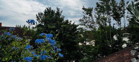 2-Zimmer Doppelhaus in Würzburg, Germany, Nr. 257997 7