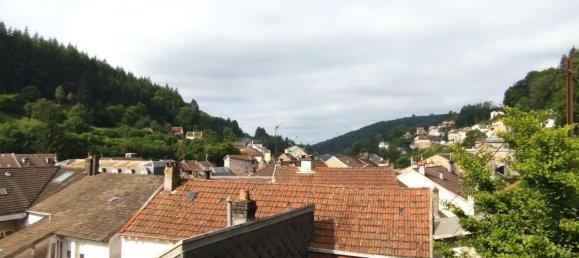 4 bedrooms House in Plombieres-les-Bains, France No. 271212 19