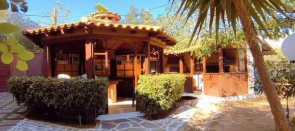 4 chambres propriété commerciale à vendre à Kalyvia Thorikou, Saronikos, East Attica, Attica, Greece № 1968 9