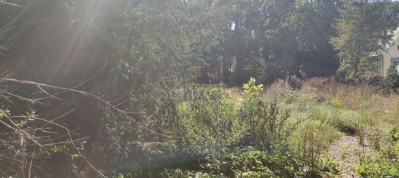 Terreno en Augsburg, Germany No. 81971 3