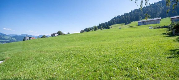 Grundstück in Alberschwende, Austria, Nr. 54129 2