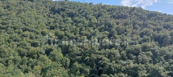 4 bedrooms Villa in Rapallo, Italy No. 275638 3