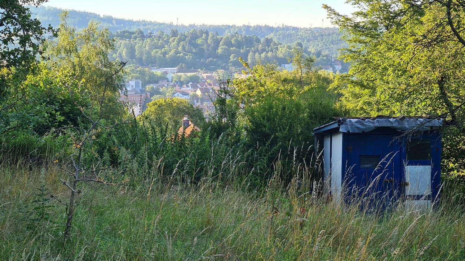  Land in Suhl, Germany No. 240189