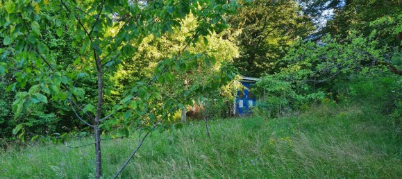  Land in Suhl, Germany No. 240189 4