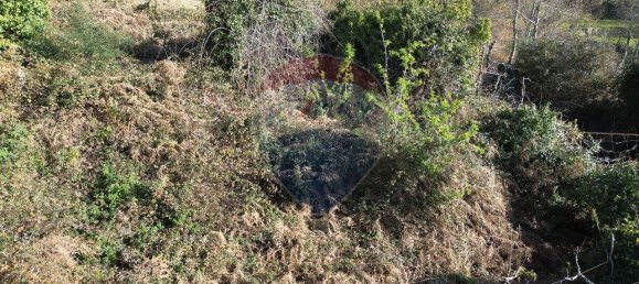 2 غرف نوم منزل في Sao Cristovao de Nogueira, Portugal رقم 162673 6