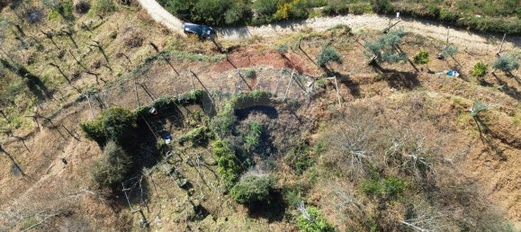 2 غرف نوم منزل في Sao Cristovao de Nogueira, Portugal رقم 162673 4