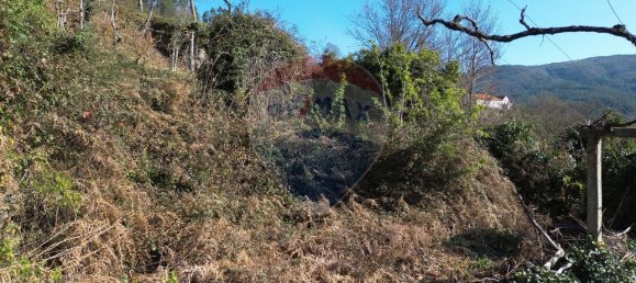 2 غرف نوم منزل في Sao Cristovao de Nogueira, Portugal رقم 162673 8