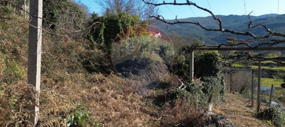 2 غرف نوم منزل في Sao Cristovao de Nogueira, Portugal رقم 162673 7