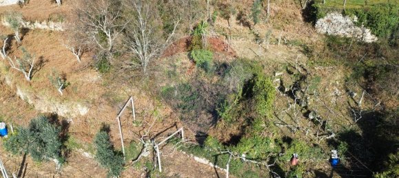 2 غرف نوم منزل في Sao Cristovao de Nogueira, Portugal رقم 162673 2