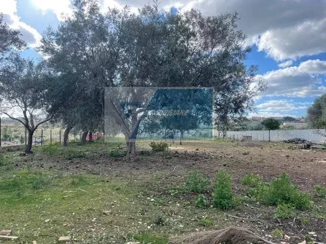 Земельный участок 1991м² в Мелилли, Италия № 178105