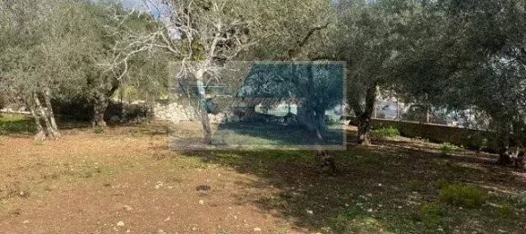 Земельный участок 1991м² в Мелилли, Италия № 178105 6