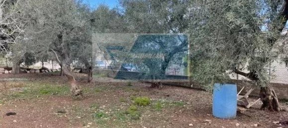 Земельный участок 1991м² в Мелилли, Италия № 178105 5