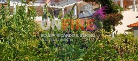  فندق في Canico, Portugal 1200متر مربع رقم 127816 11