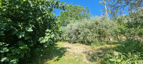 4 bedrooms Land in Ficulle, Italy No. 138193 9