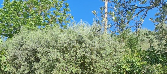 4 bedrooms Land in Ficulle, Italy No. 138193 10