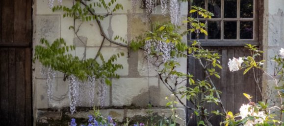 11 bedrooms House in Tours, France No. 49164 27