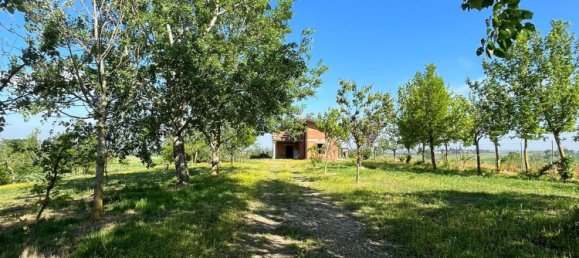 7 rooms House in Torrazza Coste, Italy No. 68433 4