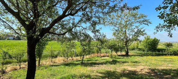 7 rooms House in Torrazza Coste, Italy No. 68433 7