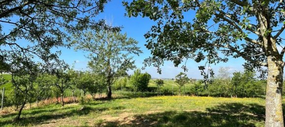 7 rooms House in Torrazza Coste, Italy No. 68433 8