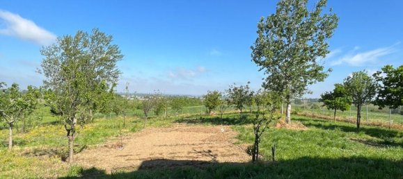 7 rooms House in Torrazza Coste, Italy No. 68433 62