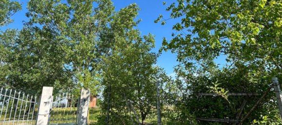 7 rooms House in Torrazza Coste, Italy No. 68433 9