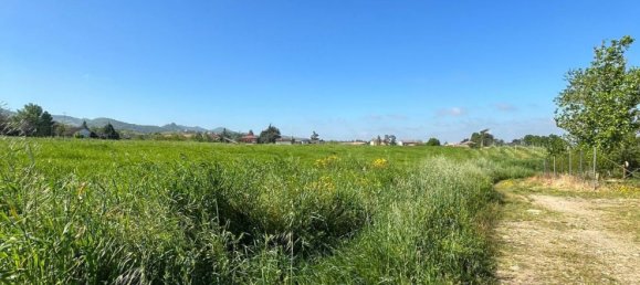 7 rooms House in Torrazza Coste, Italy No. 68433 10